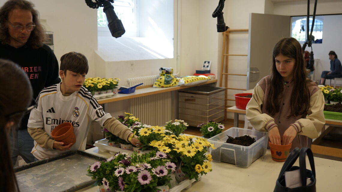 2026 04 25 hp Frühlingsbrunch Blumen pflanzen